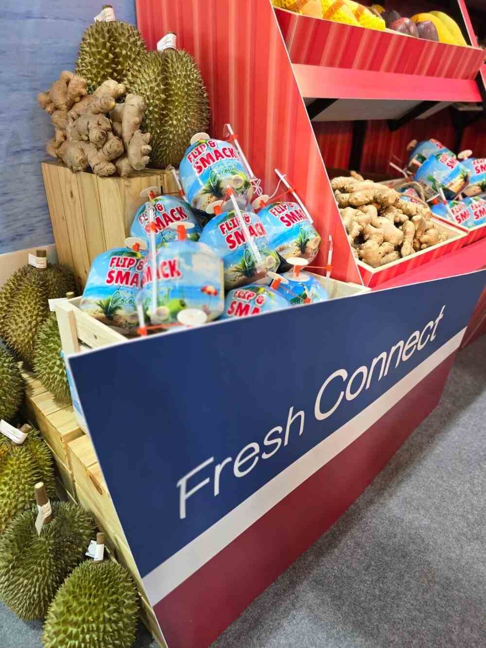 Coconut thailand