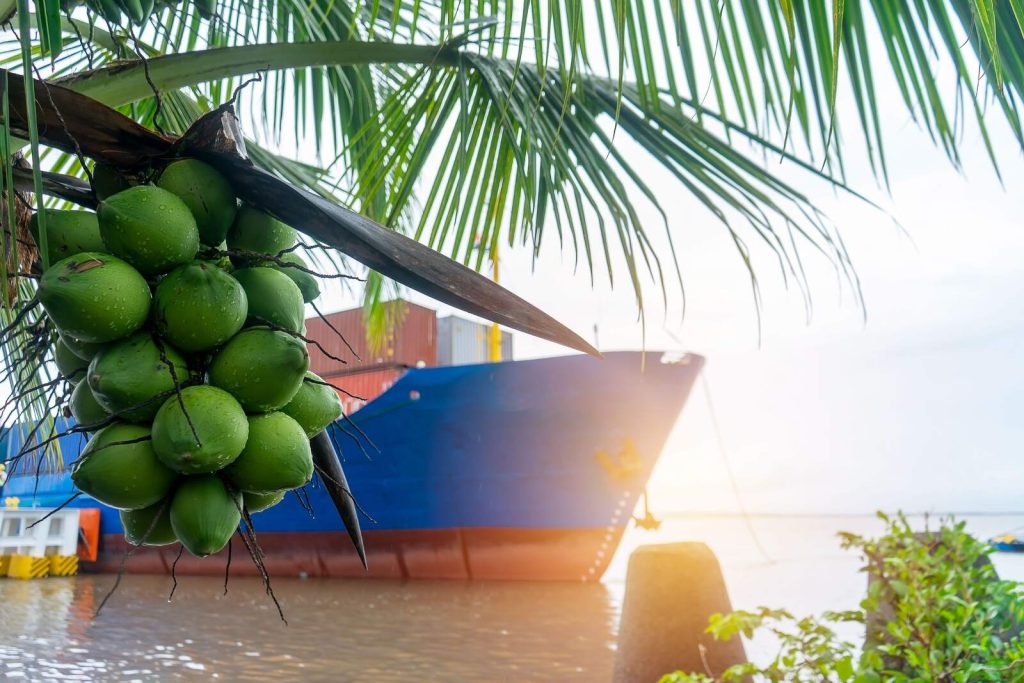 Container of fresh produce on a bulk shipping vessel
