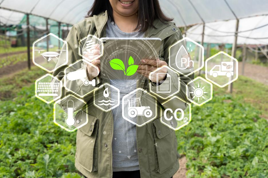 Farmers in Thailand support the GLOBALG.A.P. standard