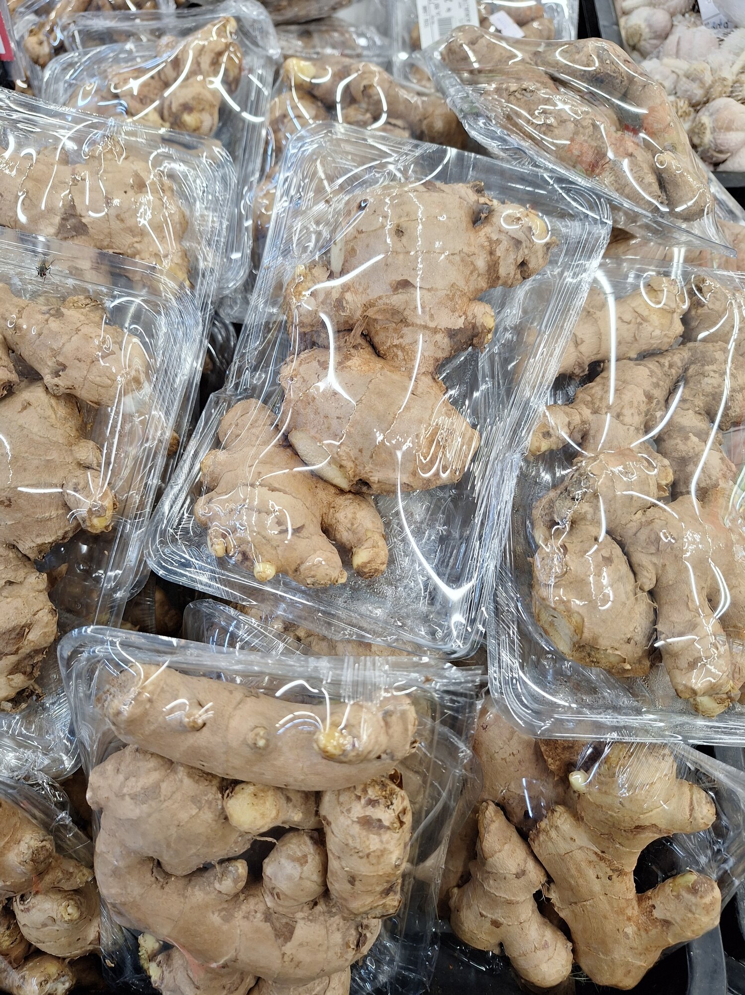 Thai ginger