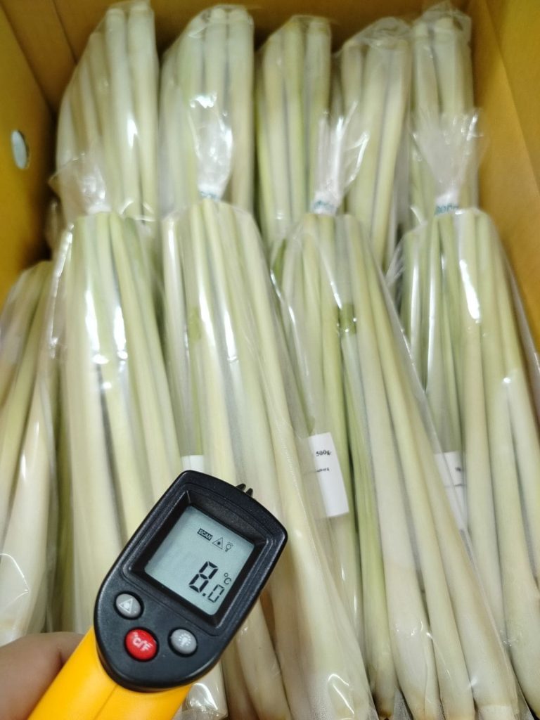 Quality lemongrass packing and export services