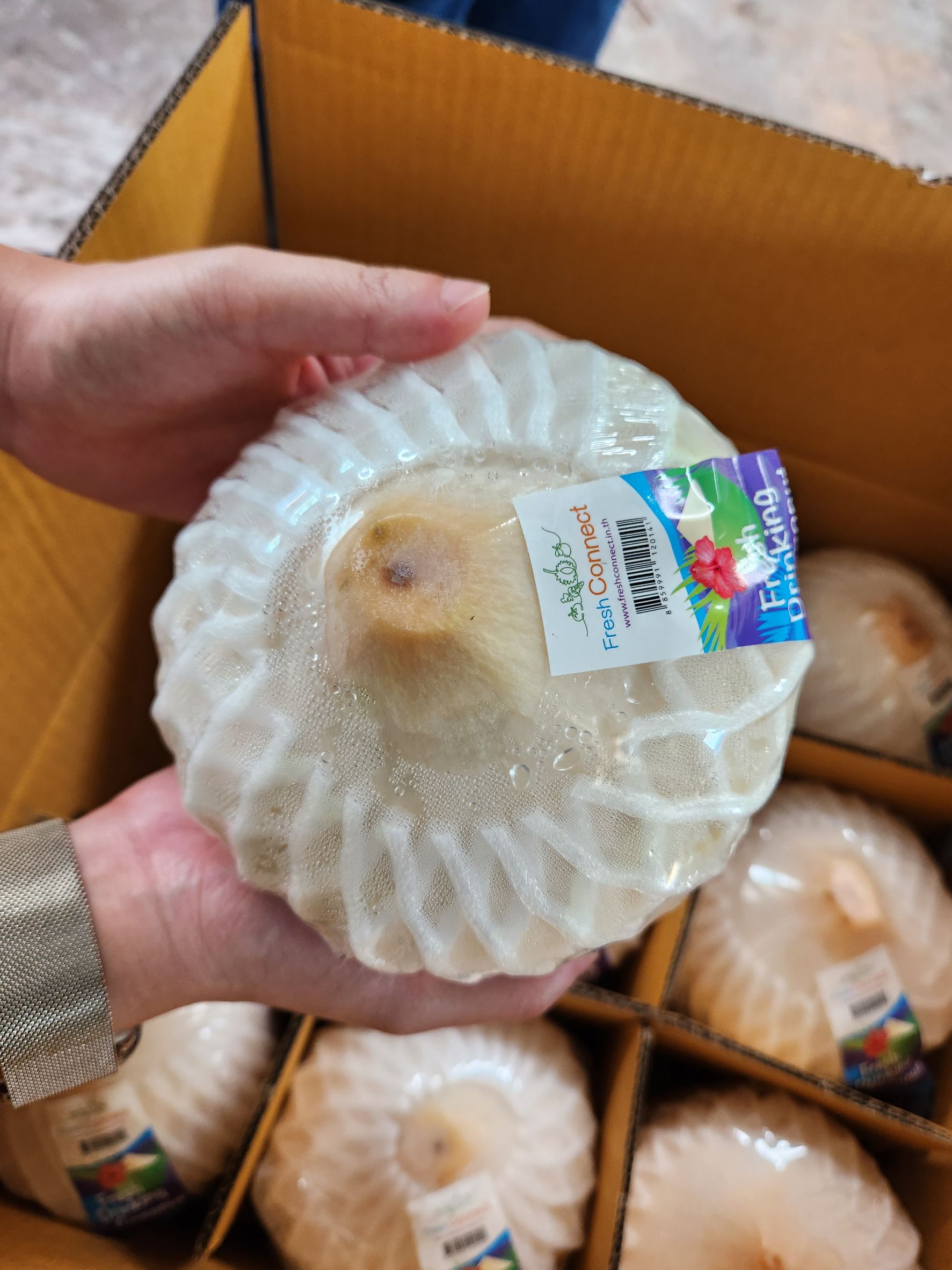 Thai Coconut