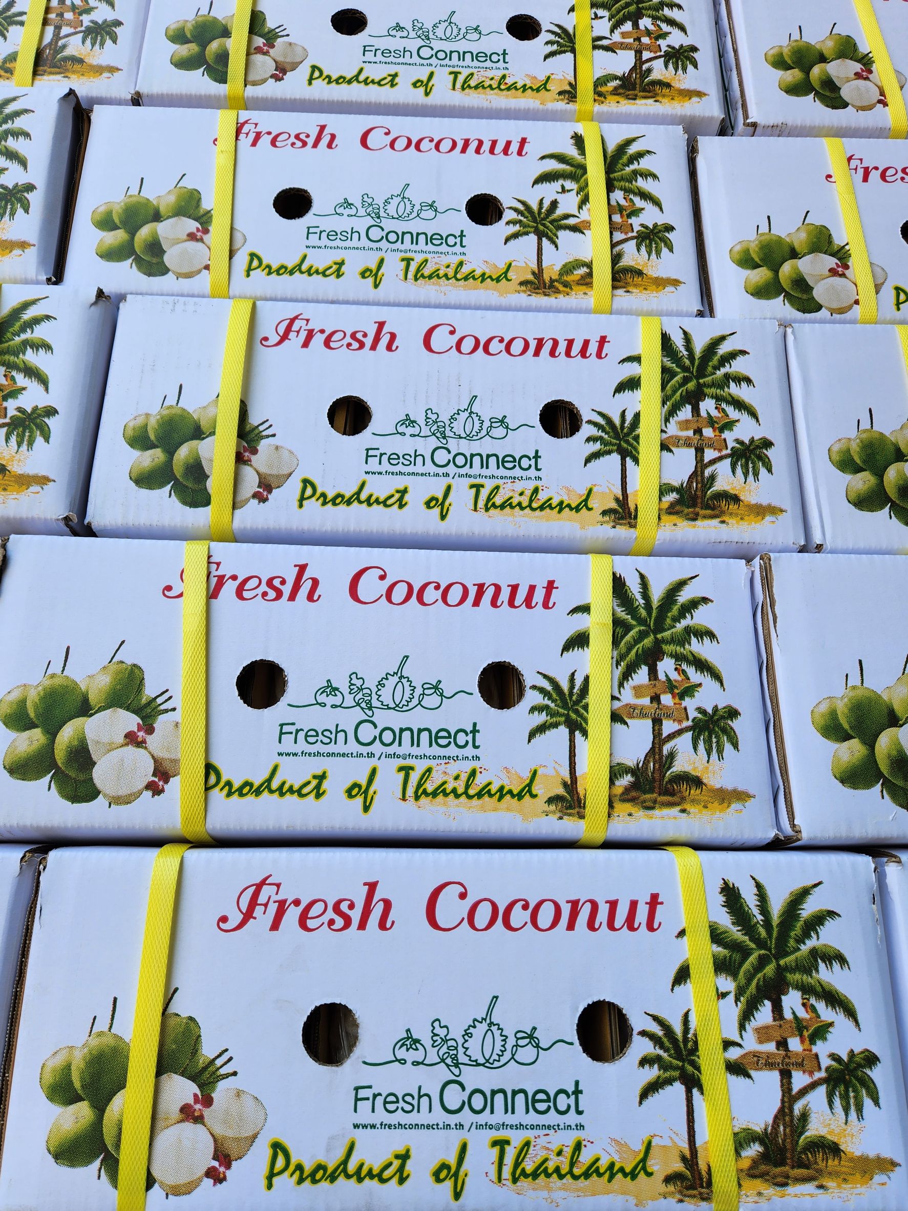 Thai Coconut