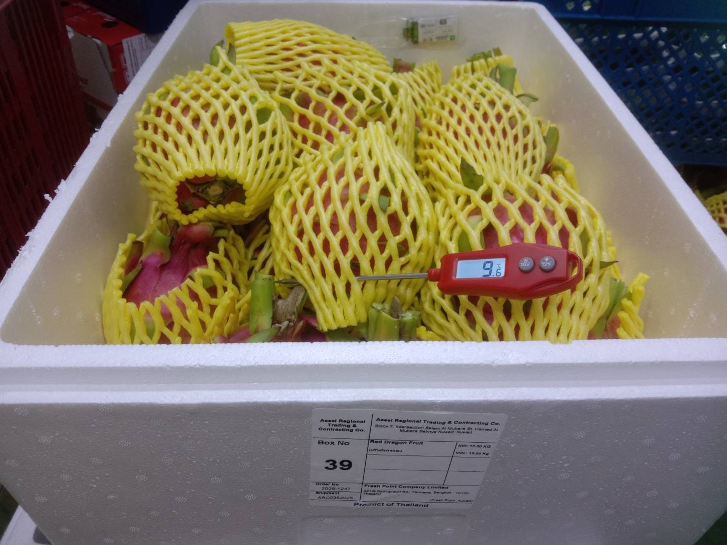 Fresh Connect offers dragon fruit packing and export services