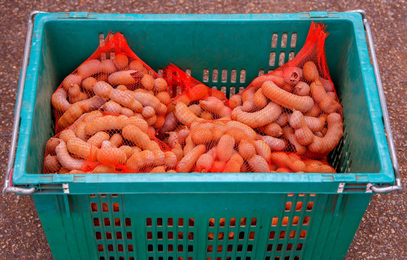 Fresh sweet tamarind pods with glossy brown shells and rich pulp, ready for export.