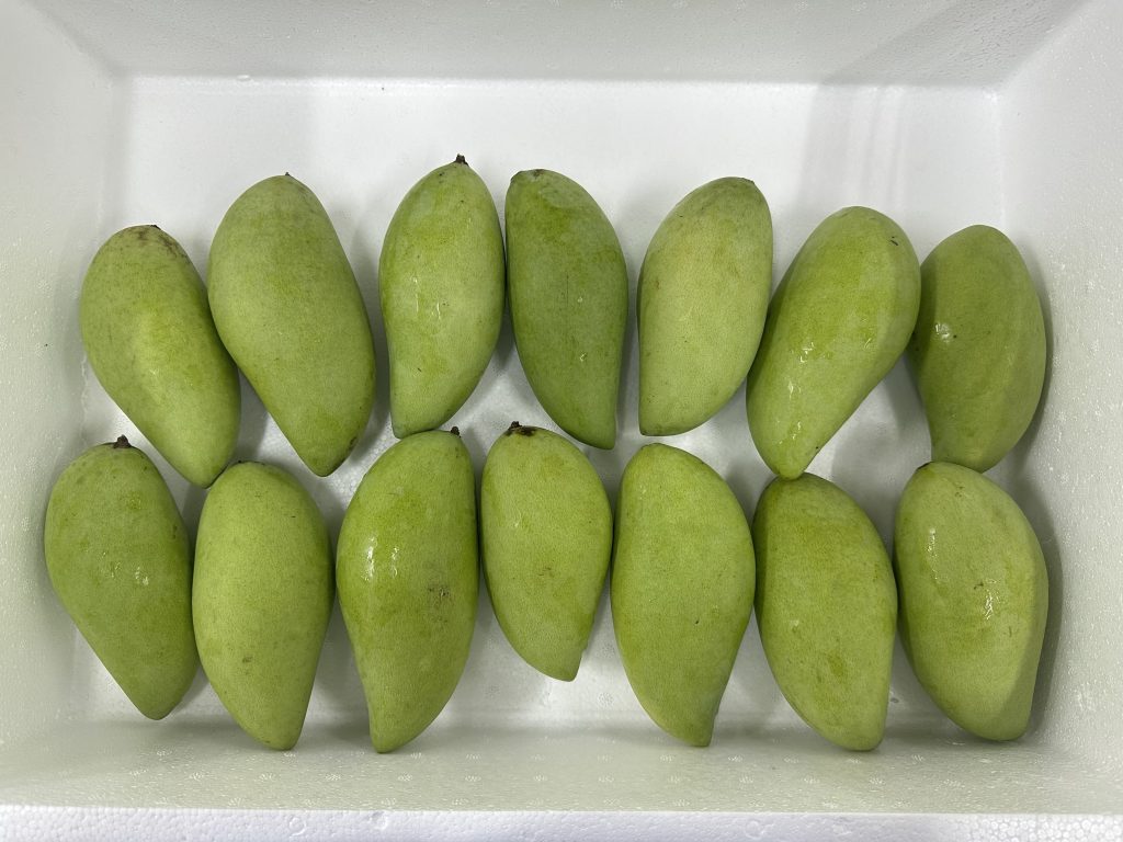 Thai mango
