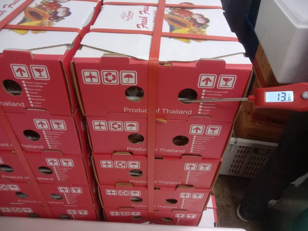 Dragon fruit available for wholesale in Thailand