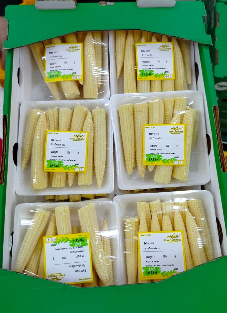 Thai ginger