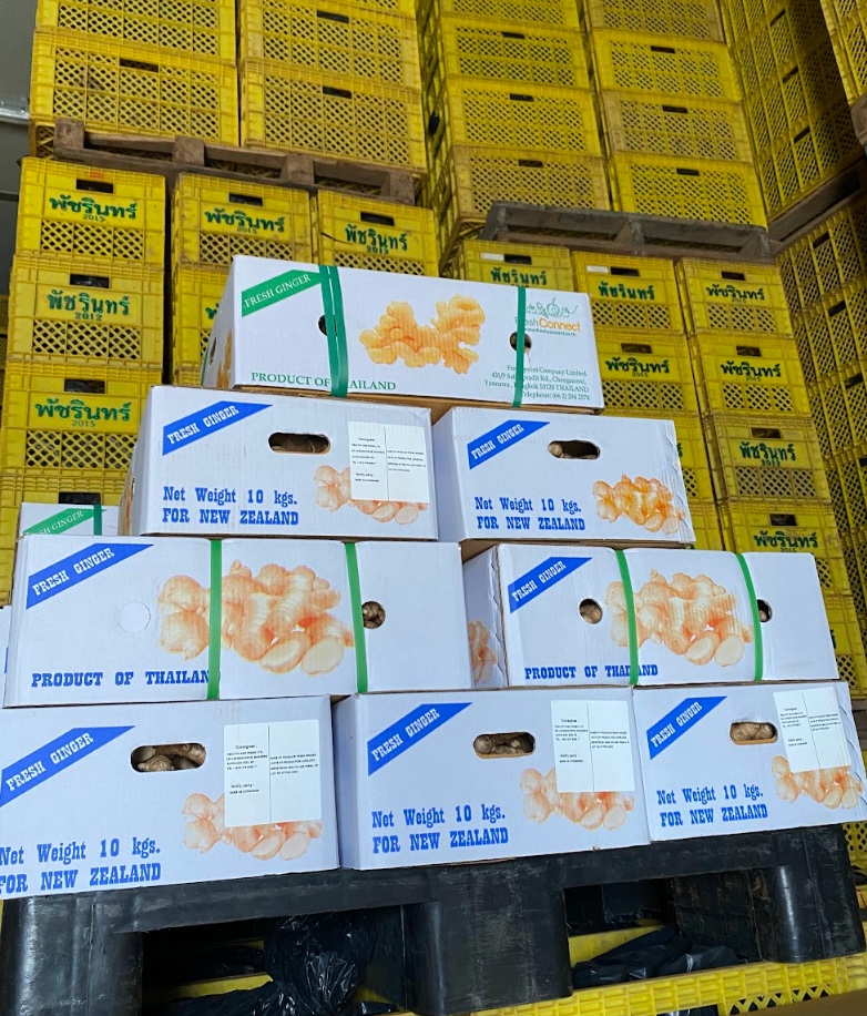 Thai ginger