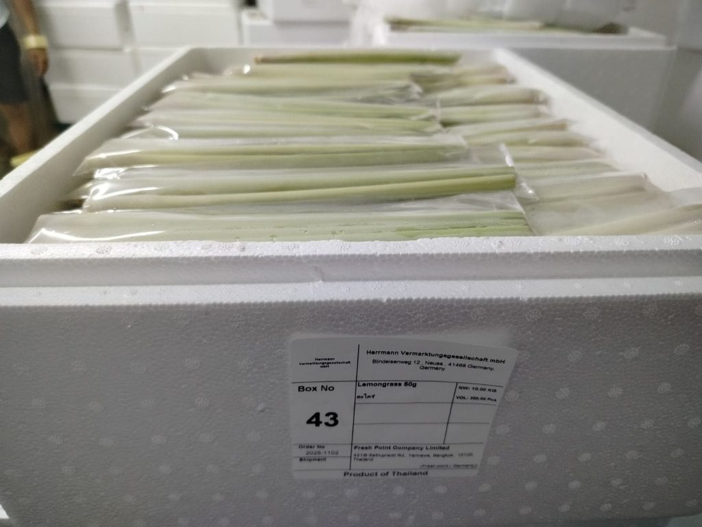 Fresh lemongrass packed and weighed for export