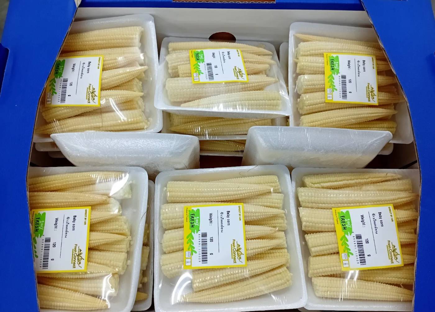 The demand for baby corn is rising, and Thailand is a leading exporter in meeting this growing need.