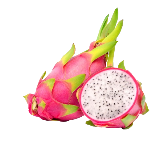 Fresh Connect is a trusted dragon fruit exporter in Thailand
