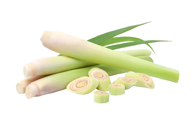 Fresh lemongrass from Fresh Connect, a trusted exporter in Thailand