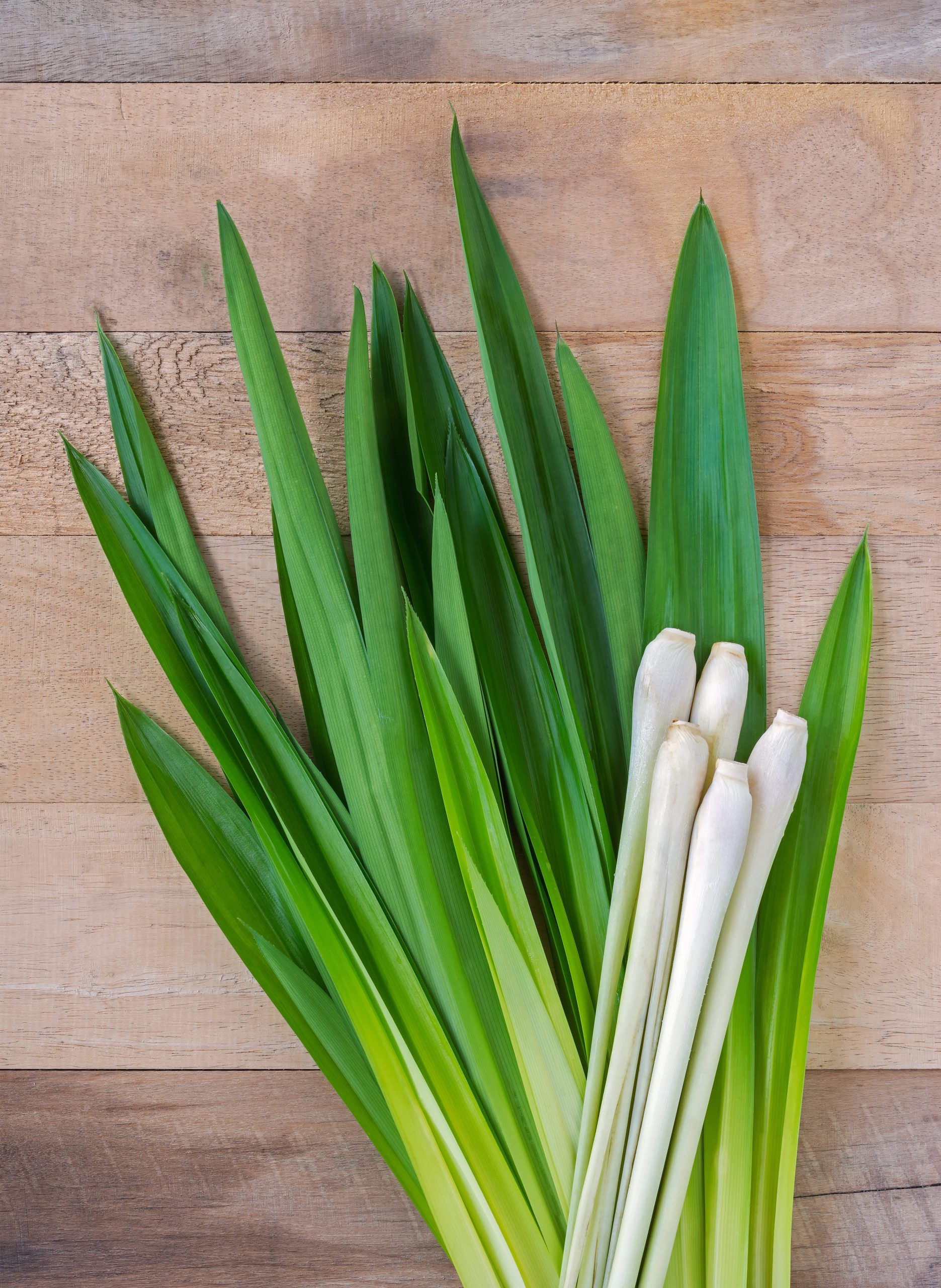 Fresh Connect is a bulk lemongrass supplier from Thailand