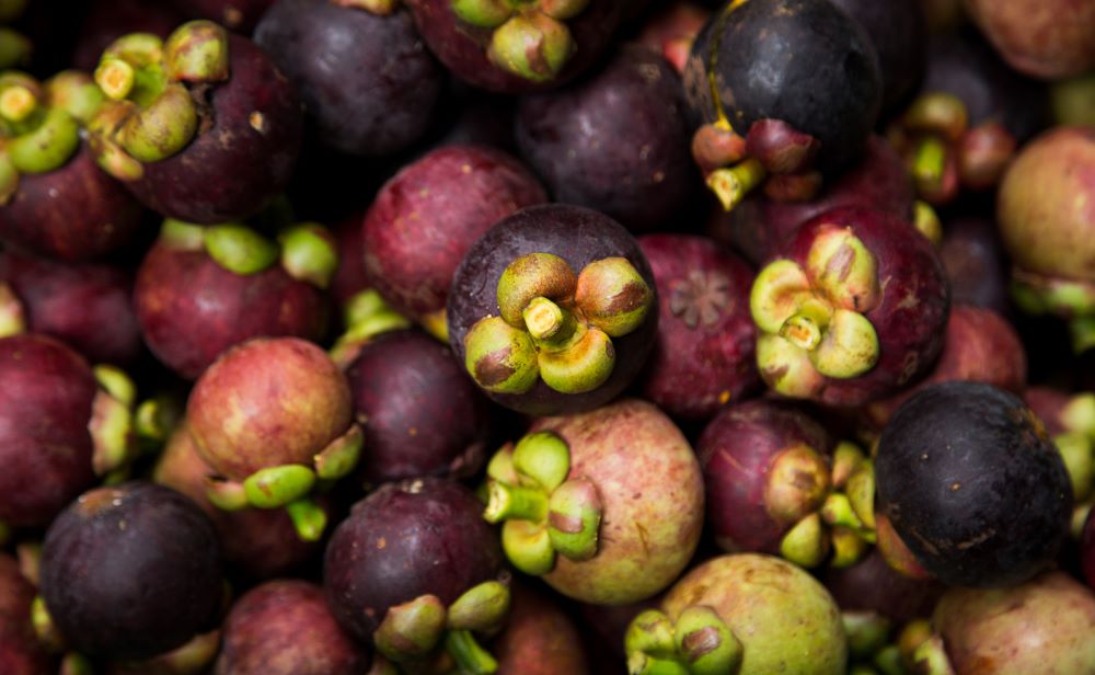 Export-ready fruits from Thailand packed for B2B shipment.