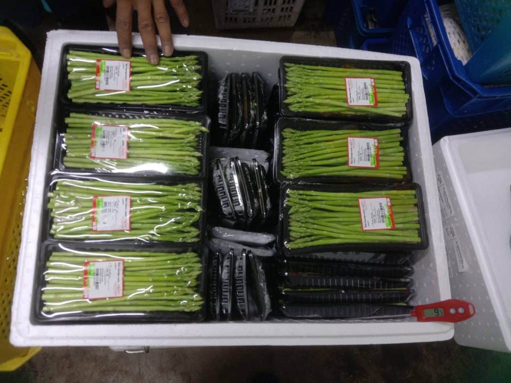 Premium Thai Asparagus