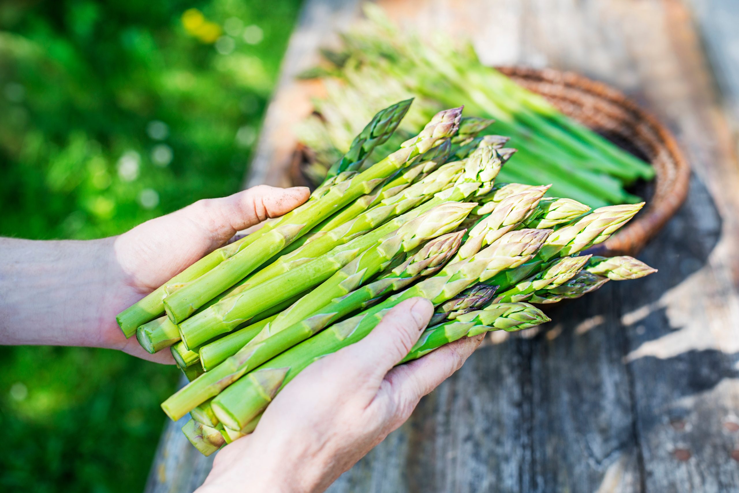 Premium Thai Asparagus
