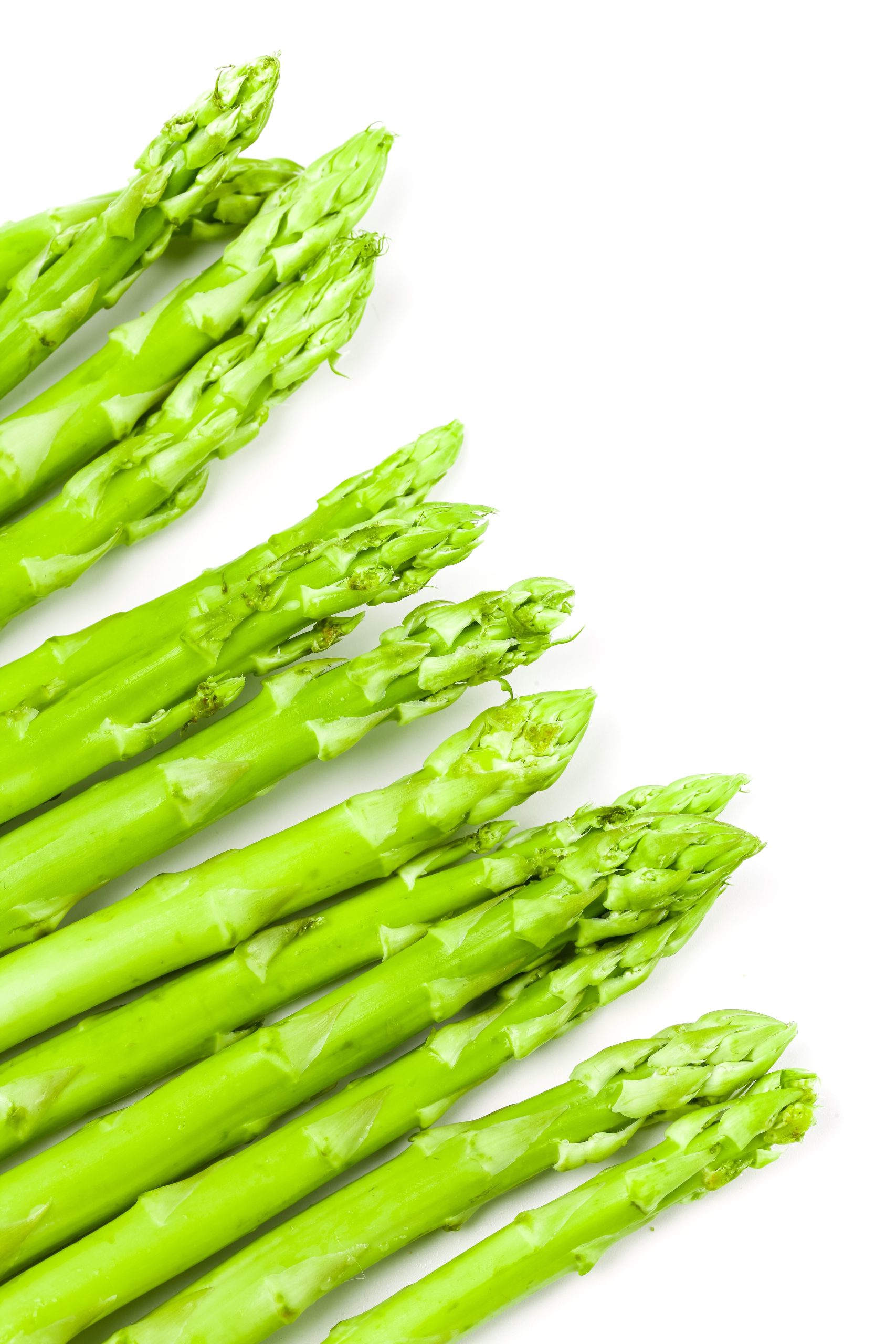 Premium Thai Asparagus
