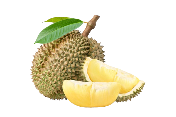 Premium Durian